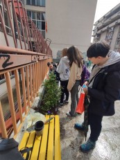 487280382 1119450386647888 2873160579263982930 n